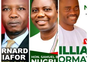 Three candidates to contest Akatsi South NDC Parliamentary slot