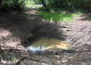 Vodafone Ghana Foundation’s Kindred Project delivers clean water to Gavikope