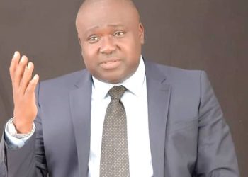 We saved economy from collapsing – BoG  