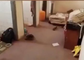We’ve got enough space; video depicting students sleeping in toilets unfair – GHANASCO headmaster cries out 2 We’ve got enough space; video depicting students sleeping in toilets unfair – GHANASCO headmaster cries out