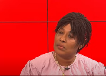 What do you expect the Council of State to do? – Nana Jantuah to NDC