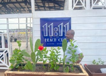 11:11 Beach Club to host international Pillow Fighting Championship