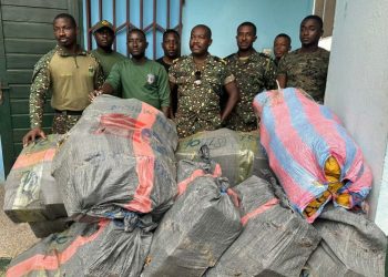 800 parcels of Indian hemp intercepted by Nyive Immigration officials
