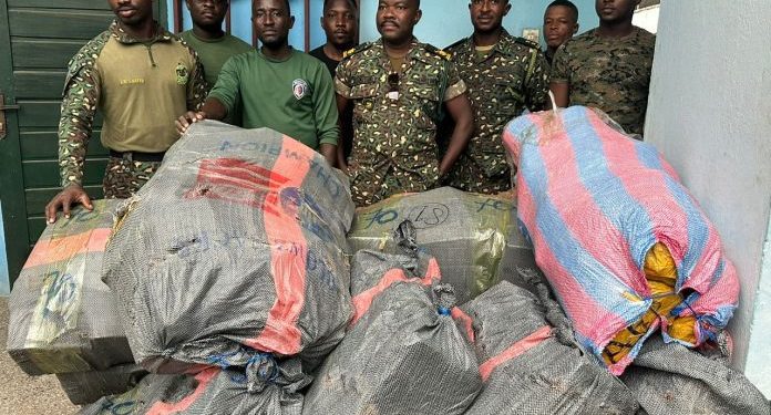 800 parcels of indian hemp intercepted by nyive immigration officials