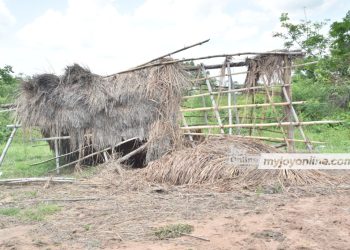Adaklu Avelebe DA Basic School learners study under trees