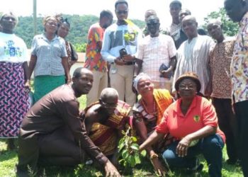 Awudome-Avenui pledges support for Ho Oxygen City Project