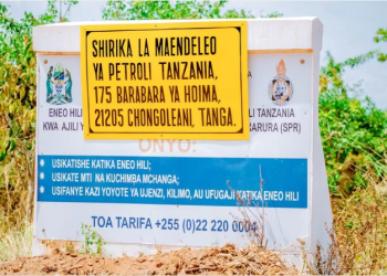 Climate campaigners win victory as Standard Chartered refuses to finance contentious $5 billion Ugandan oil pipeline