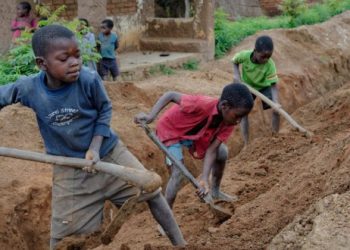 Collective approach required to end child labour, trafficking – TUC
