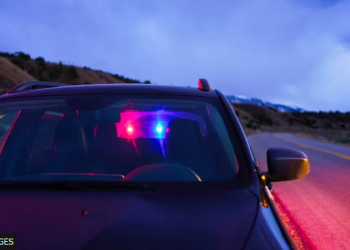 Colorado driver tried to avoid DUI by switching seats with dog, police say