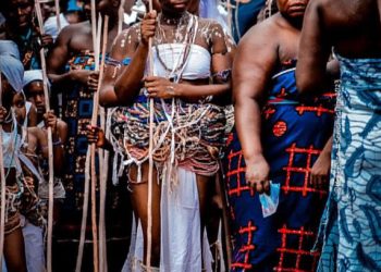 Dipo rite: Thousands assemble to witness spectacle in Kroboland