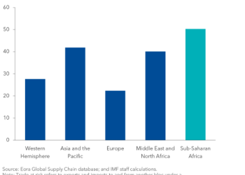 Economic growth in Ghana, others could permanently decline if world split into 2 isolated blocs – IMF