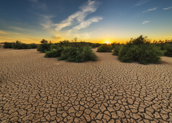 El Nino on the way, could wipe out $3 trillion of world economy