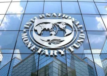 Financial sector robust before debt restructuring, but sector cleanup yet to be fully implemented – IMF 3 Financial sector robust before debt restructuring, but sector cleanup yet to be fully implemented – IMF