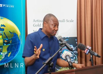 Galamsey is not over; but I can’t say we have failed – Minerals Commission CEO