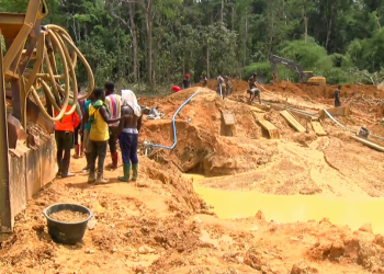 Galamsey surges in election years – Former Forestry Commission boss