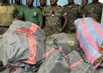 Ghana Immigration Service intercepts at least 900 slabs of Indian hemp in Volta Region