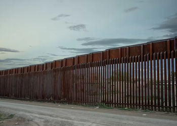 Girl, 8, dies in US Border Patrol custody, officials say