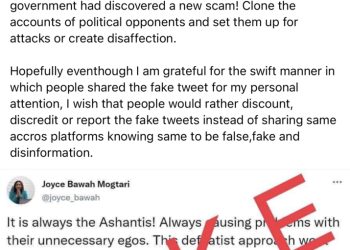 Ignore fake tribal social media post attributed to me – Joyce Bawa Mogtari