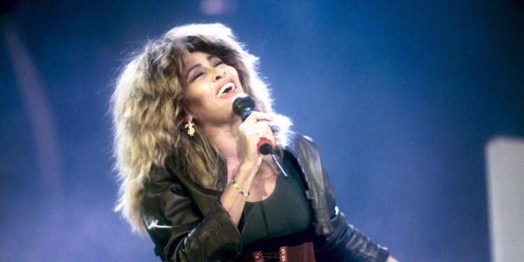 in pictures tina turner throughout the years