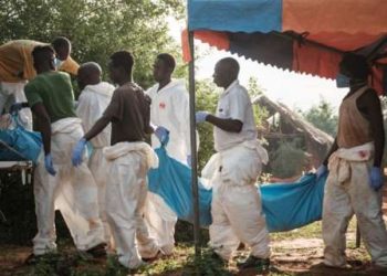 Kenyan cult leader’s wife arrested in coastal town