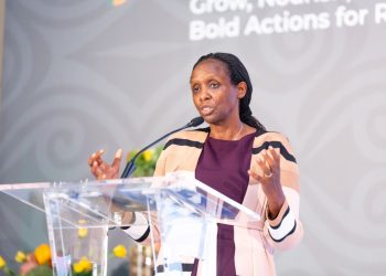 Let’s build a coherent approach against risks linked to climate overshoot