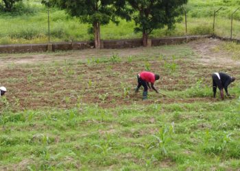 Letshego Ghana partners with Ghana Commodity Exchange to provide funding to farmers, brokers