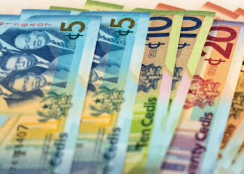 Ministry Finance empowers over 250 traders against fraudulent financial schemes