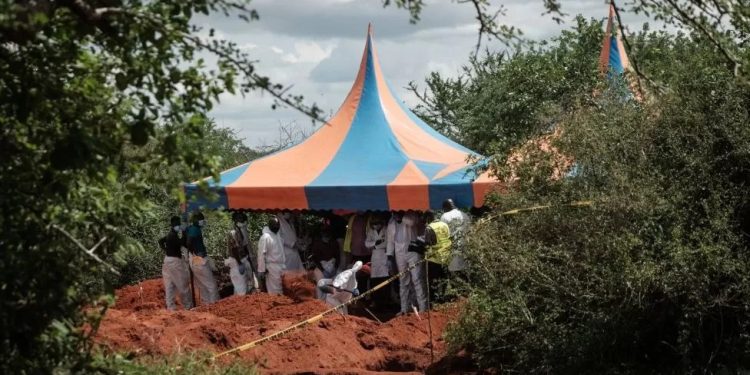 my wife and six children joined kenya starvation cult