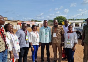 NDC primaries: I’m happy with peaceful conduct of elections so far – Fifi Kwetey