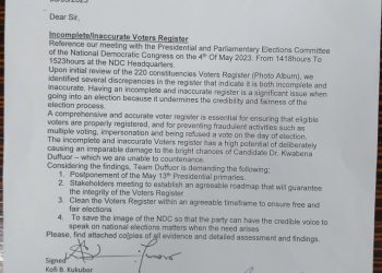 NDC primaries: Postpone exercise, voters register incomplete and inaccurate – Dr Duffuor