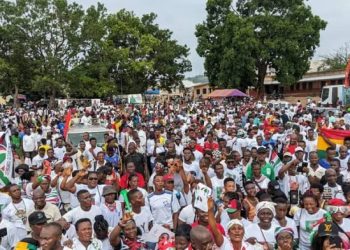 NDC supporters join victory walk in Ho