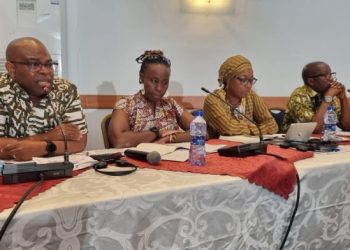 Negotiate common framework to harness critical mineral resources – Africa urged