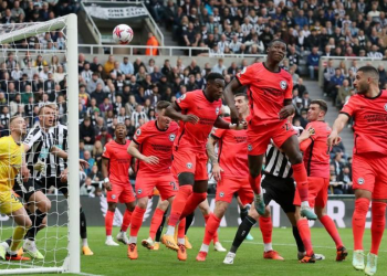Newcastle United win to move closer to Champions League
