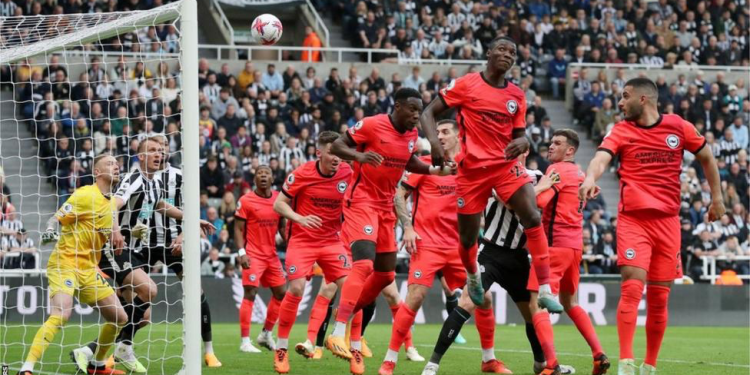 newcastle united win to move closer to champions league