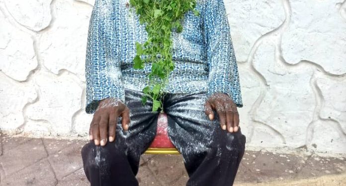 nii laryea tomakpe and yarniede family appoints new head