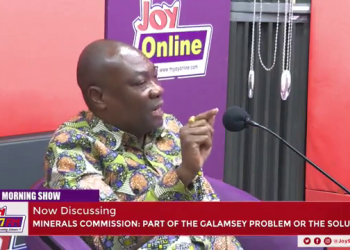 Number one problem with ‘galamsey’ is miners getting a place to work – Minerals Commission CEO