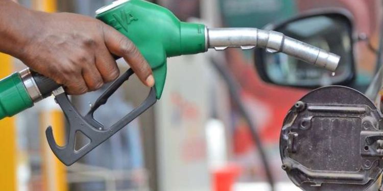 petrol diesel prices to stay same lpg to go down 5 ies