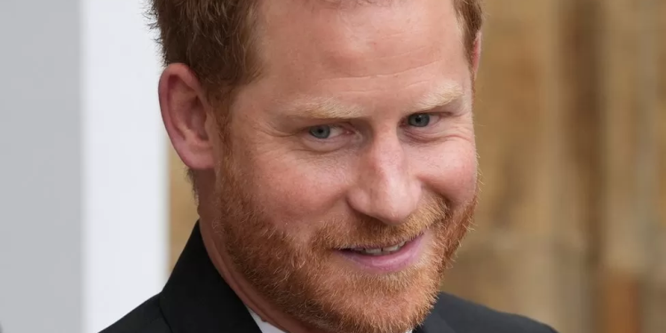 prince harry loses challenge to pay for police protection in uk