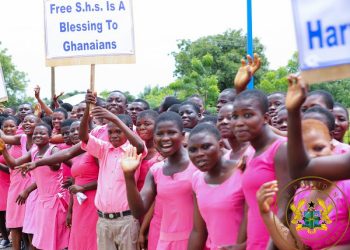 Review of flagship programmes: Let’s not touch Free SHS – Kwame Pianim