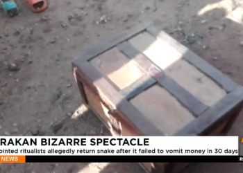 ‘Sakawa’ boys return snake to ritualist after it failed to vomit money
