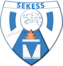 serwaa kesse girls shs appeals for support to improve facilities