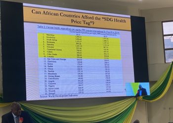 Sub-Saharan Africa must focus increase budget allocation to health sector to achieve SDG 3 – Prof Ernest Aryeetey
