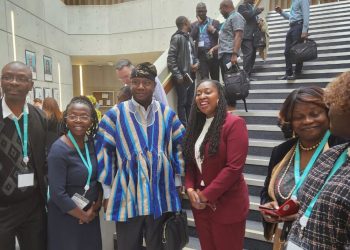 Take advantage of natural resources to develop African countries – Chairman of GIISDEC to African Leaders