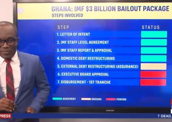 The impending IMF Bonanza: what’s in it for you? Evans Mensah explains – video