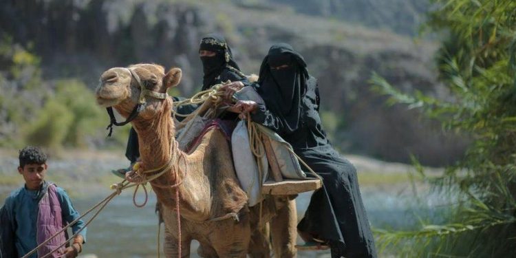 The woman who travelled seven hours by camel to give birth 1 the woman who travelled seven hours by camel to give birth