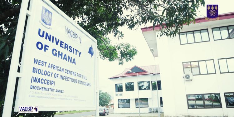 waccbip refutes testing or approving hon drox drug