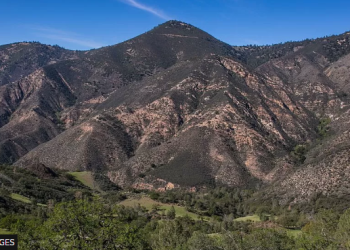 YouTuber Trevor Jacob admits to crashing plane for views