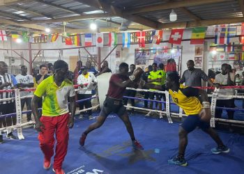 2023 African Boxing Championships: Black Bombers could miss out on competition