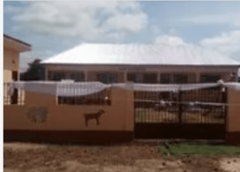 Action Aid Constructs Child-Friendly Kindergarten Schools, Promoting Access to Quality Education