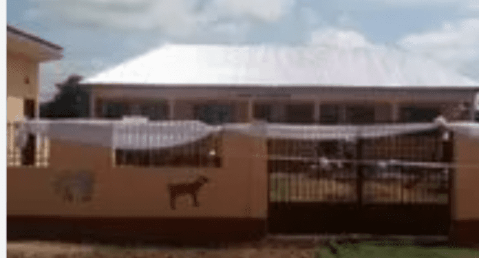 action aid constructs child friendly kindergarten schools promoting access to quality education